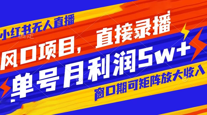 风口项目，小红书无人直播带货，直接录播，可矩阵，月入 5w+ - 入巷拾玖