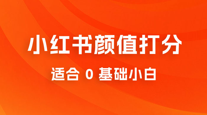 小红书颜值打分项目：一条作品最高收入 1000+ - 入巷拾玖