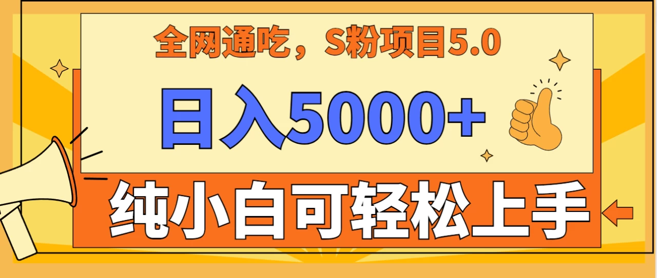 全网通吃，S粉项目5.0，最新野路子，纯小白可操作，有手就行，无脑照抄，单日变现5000+，纯保姆教学 - 入巷拾玖