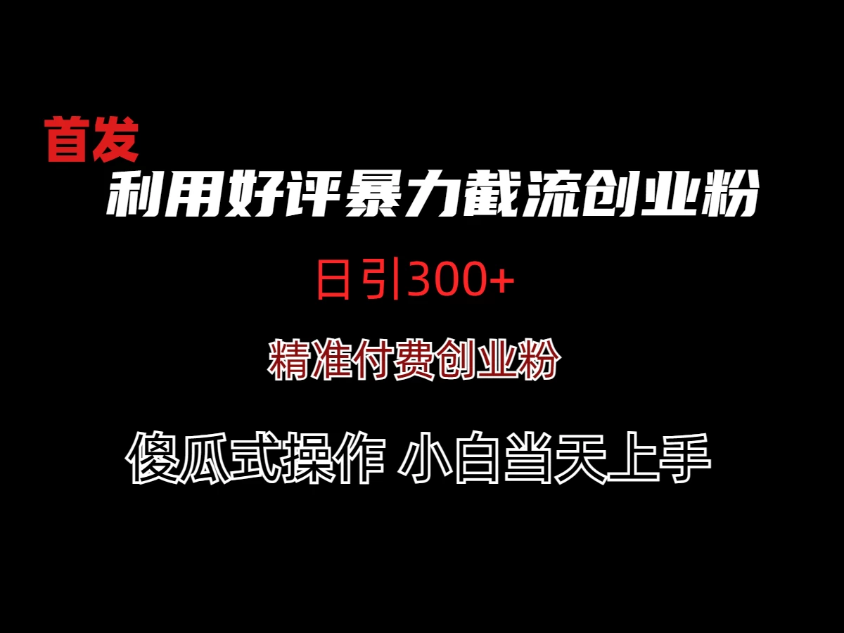利用好评暴力截流付费创业粉，无需工具，简单且暴力的一个玩法 - 入巷拾玖