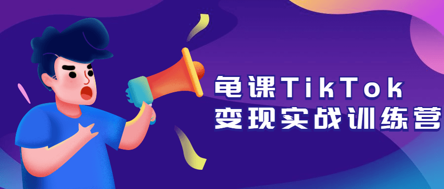 龟课TikTok变现实战训练营 - 入巷拾玖