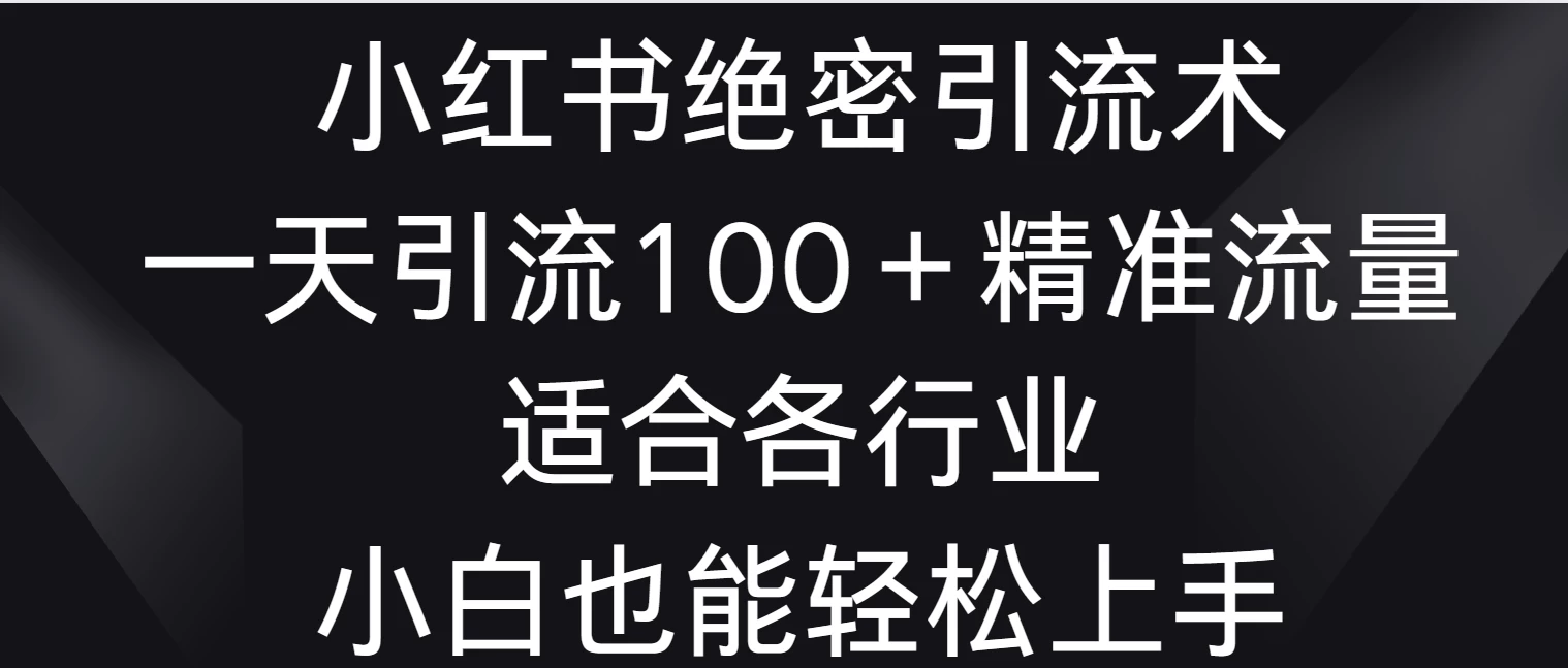 小红书绝密引流术，一天引流100＋精准流量，适合各个行业，小白也能轻松上手 - 入巷拾玖