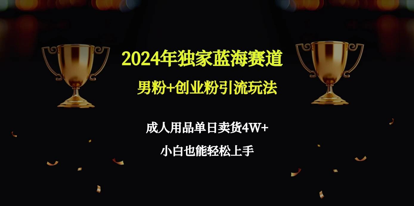 2024独家蓝海赛道，男粉＋创业粉引流玩法。 - 入巷拾玖