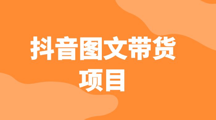 抖音图文带货项目：操作简单无门槛，适合小白 - 入巷拾玖