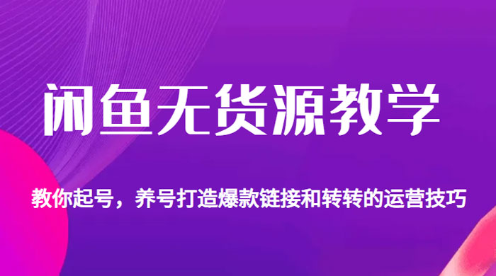 闲鱼无货源电商教学：教你起号，养号打造爆款链接以及转转的运营技巧 - 入巷拾玖