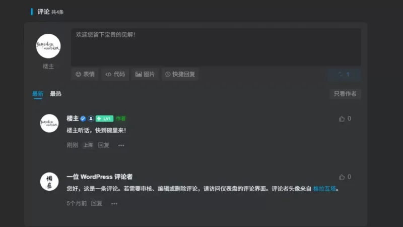 zibll子比主题评论和用户主页显示IP归属地功能 插件 - 入巷拾玖