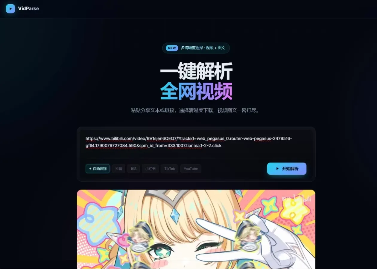 全网视频解析网页源码上传即可运行 - 入巷拾玖